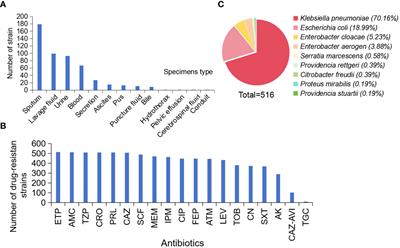 Clinical distribution of carbapenem genotypes and resistance to ceftazidime-avibactam in Enterobacteriaceae bacteria